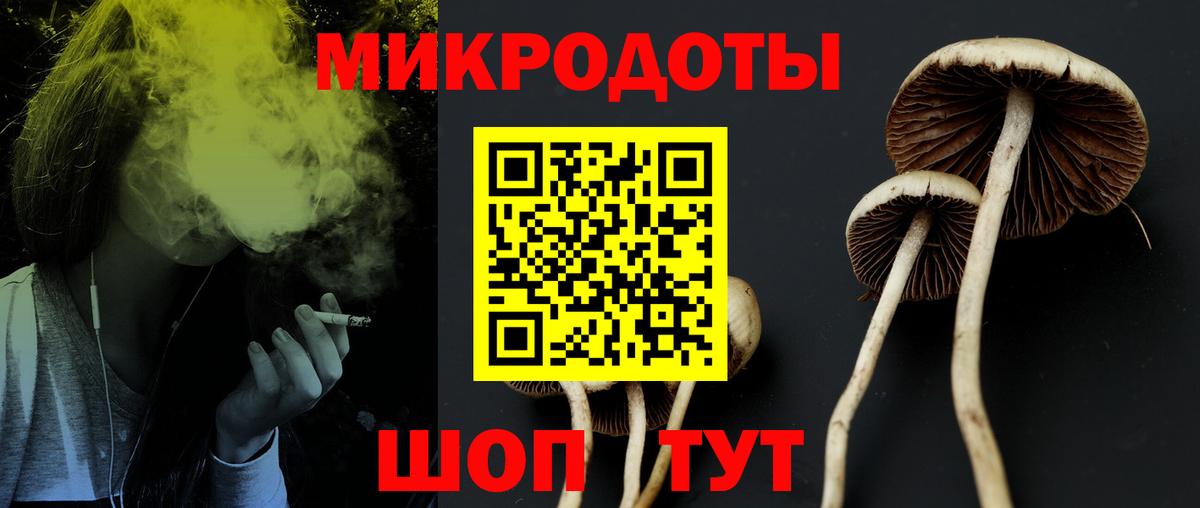 Псилоцибиновые грибы Psilocybe  Галлюциногенные грибы Magic Shrooms  Вход с VPN  Керчь 